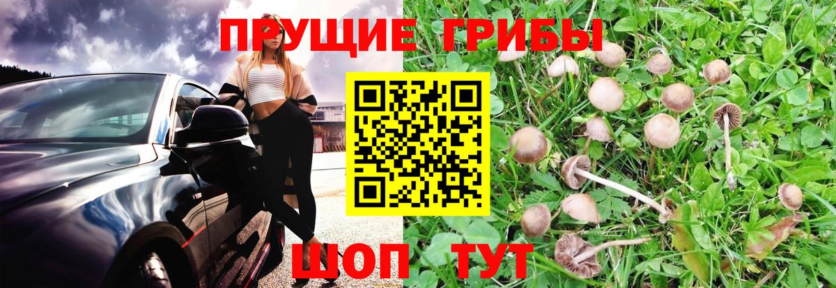 закладки  Вход с VPN  Ипатово  Галлюциногенные грибы Magic Shrooms 